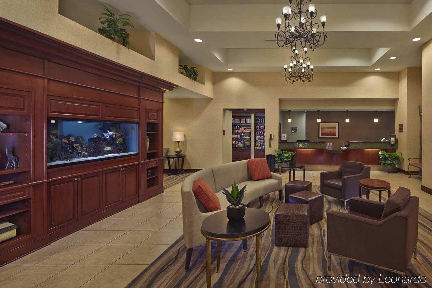 Homewood Suites By Hilton Daytona Beach Speedway-Airport Zewnętrze zdjęcie